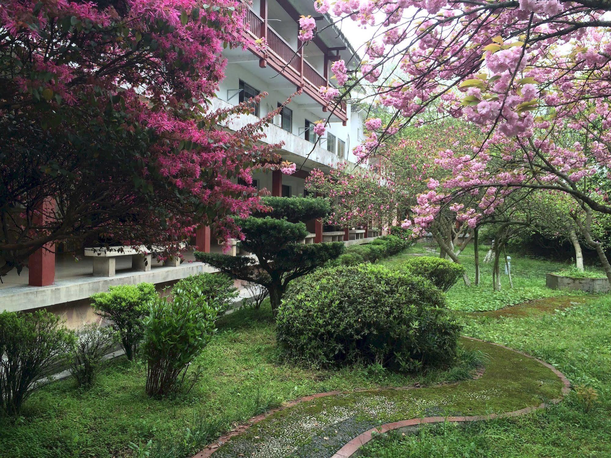 Pipaxi Hotel Zhangjiajie Exterior photo
